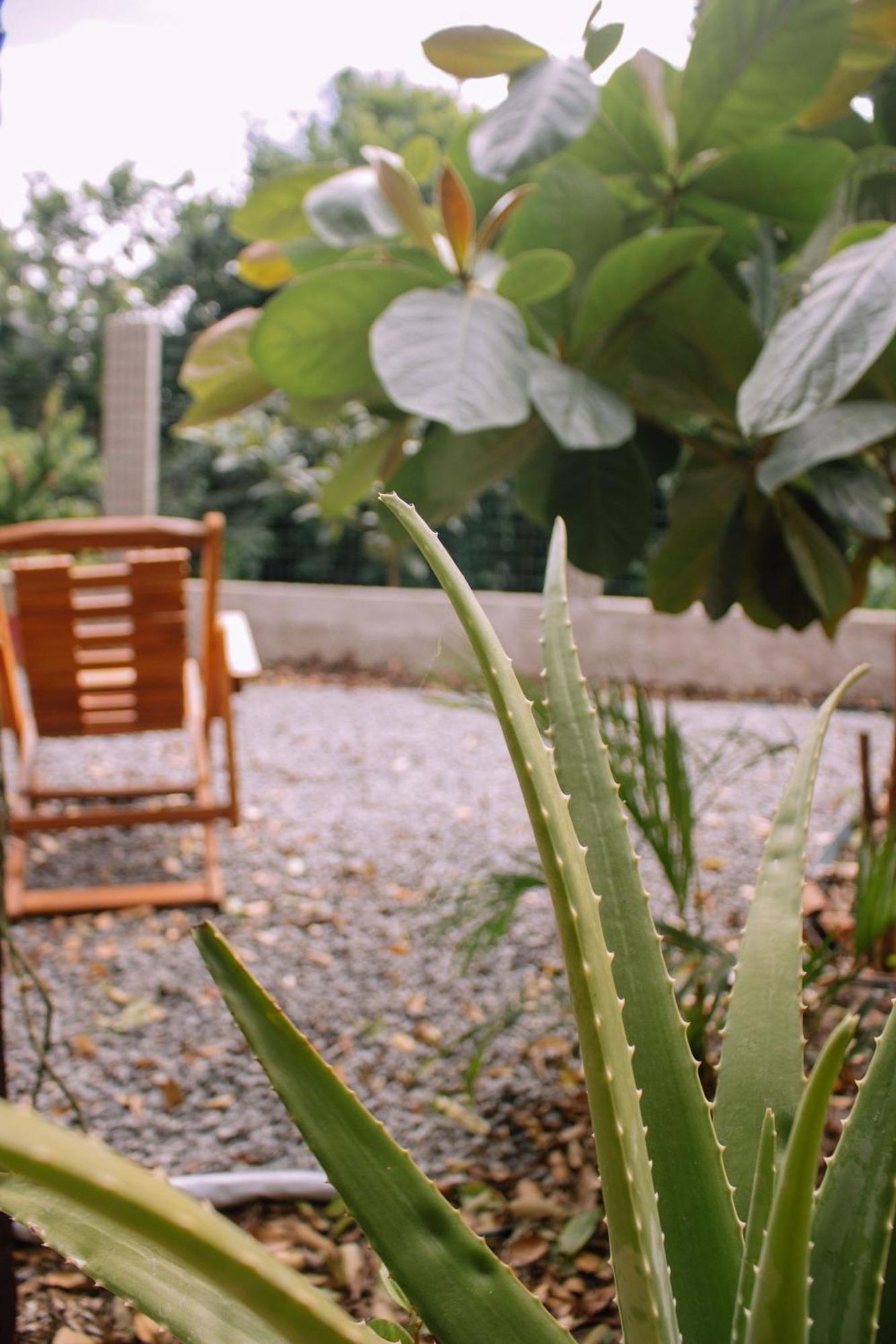 Quinta Dos Samaniego - Rusticos E Holiday home *