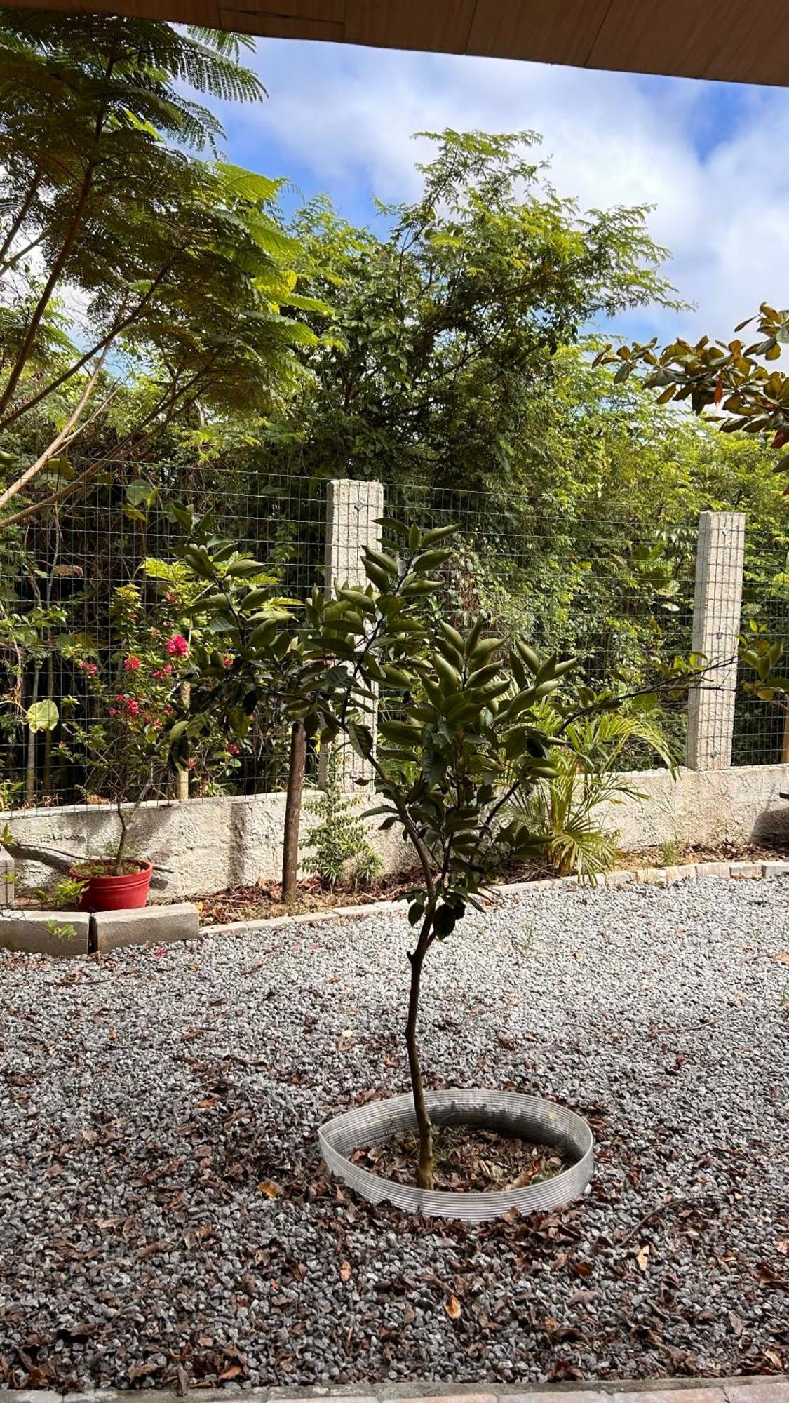 Quinta Dos Samaniego - Rusticos E * Itaunas (Espirito Santo)